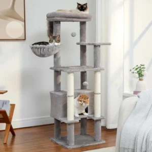 Arbre à Chat Adulte